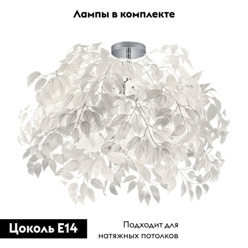 Потолочная люстра Lussole Lgo GRLSP-0199 изображение в интернет-магазине Cramer Light фото 2