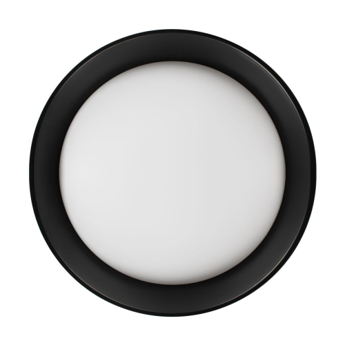 Потолочный светильник Loft IT Coin 10202 BB изображение в интернет-магазине Cramer Light фото 3