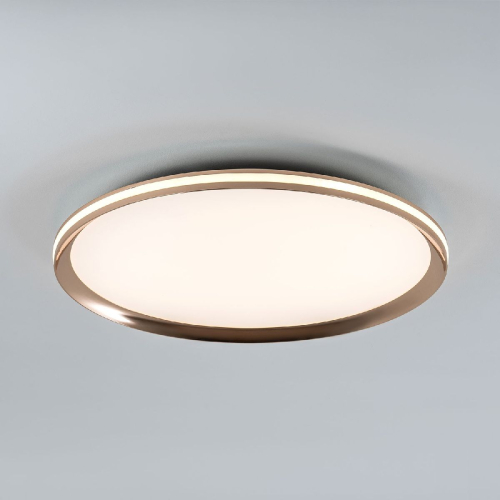 Потолочный светильник LED4U L3020-500 GD изображение в интернет-магазине Cramer Light фото 3