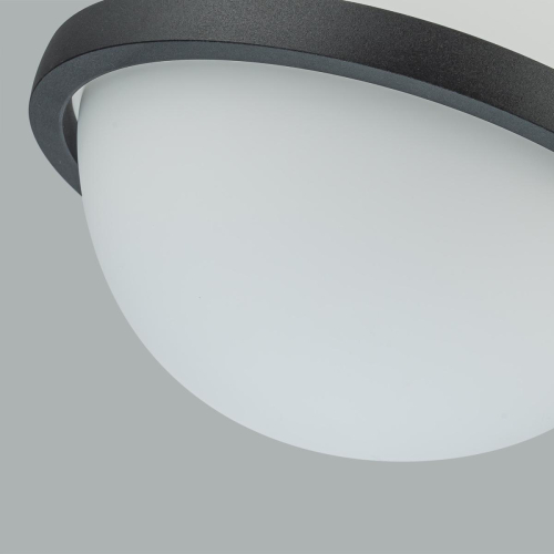 Подвесной светильник Favourite Ringar 4502-1P изображение в интернет-магазине Cramer Light фото 4