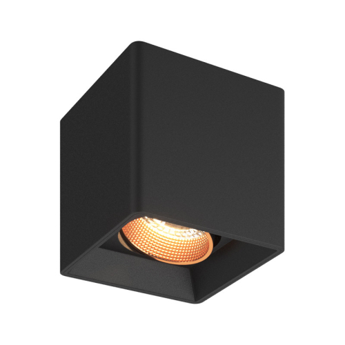 Накладной светильник Denkirs Dk3030 DK3080-BBR изображение в интернет-магазине Cramer Light