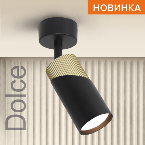 Спот Wolta Dolce WSL-GU10/S06BG изображение в интернет-магазине Cramer Light фото 3