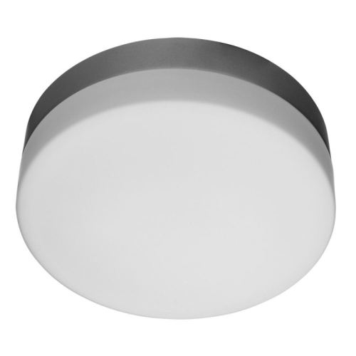 Потолочный светильник Arte Lamp Shirp A3211PL-2SI изображение в интернет-магазине Cramer Light