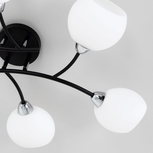 Потолочная люстра Citilux Флорида CL148165 изображение в интернет-магазине Cramer Light фото 13