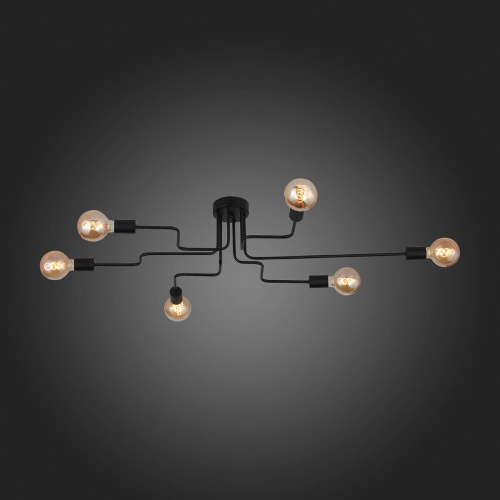 Потолочная люстра ST Luce Ano SL419.442.06 изображение в интернет-магазине Cramer Light фото 5