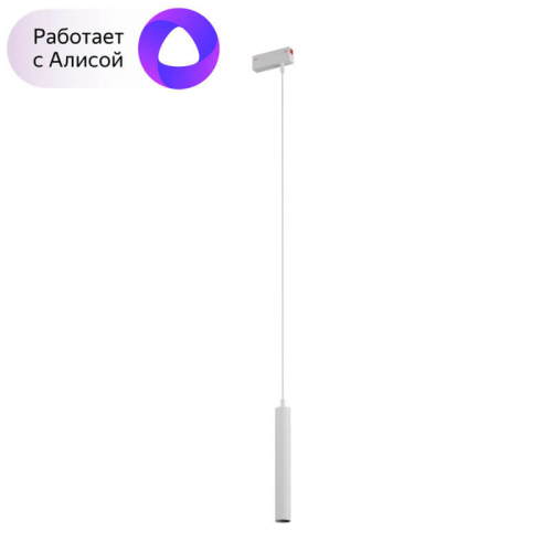 Трековый светильник Denkirs Smart DK8008-WH изображение в интернет-магазине Cramer Light фото 3