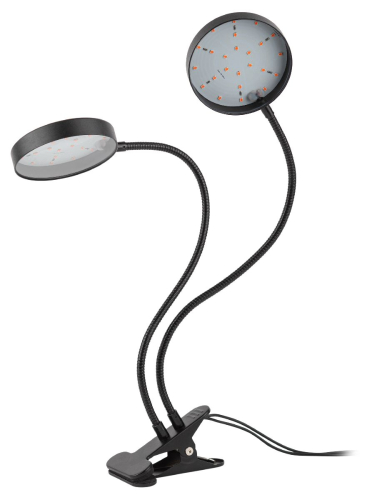 Настольная лампа Эра FITO-20W-АLED-R Б0053290 изображение в интернет-магазине Cramer Light