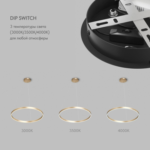 Подвесной светильник Denkirs Raydia DK6273-SG изображение в интернет-магазине Cramer Light фото 4