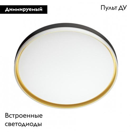 Настенно-потолочный светильник Sonex Savi 7619/DL изображение в интернет-магазине Cramer Light фото 2