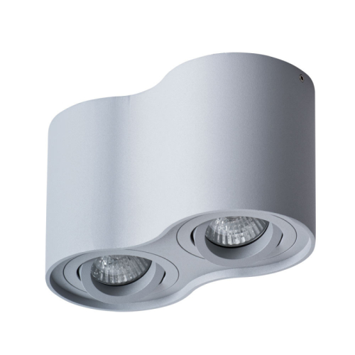 Потолочный светильник Arte Lamp Falcon A5645PL-2GY изображение в интернет-магазине Cramer Light