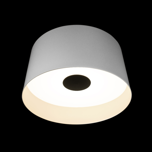 Потолочный светильник Loft IT Duo 10360L White изображение в интернет-магазине Cramer Light фото 2