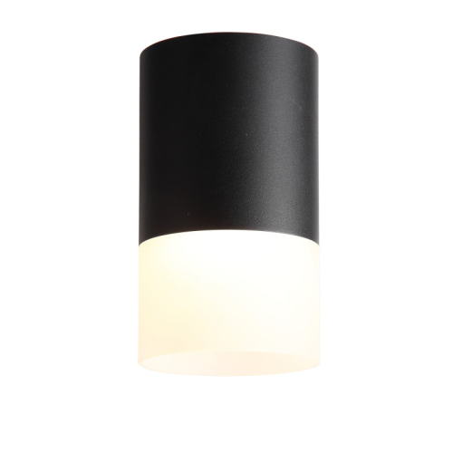 Накладной светильник ST Luce ST100.402.05 изображение в интернет-магазине Cramer Light