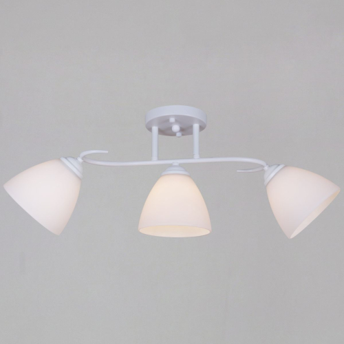 Потолочный светильник Reluce 44560-0.3-03 WH изображение в интернет-магазине Cramer Light