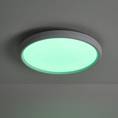 Потолочный светильник Freya Obelle FR6211CL-L24W изображение в интернет-магазине Cramer Light фото 6