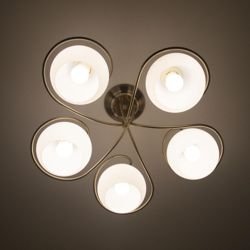 Потолочная люстра Citilux Лайма CL155153 изображение в интернет-магазине Cramer Light фото 7