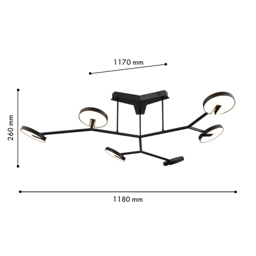Потолочная люстра Favourite Paritet 4401-6C изображение в интернет-магазине Cramer Light фото 2