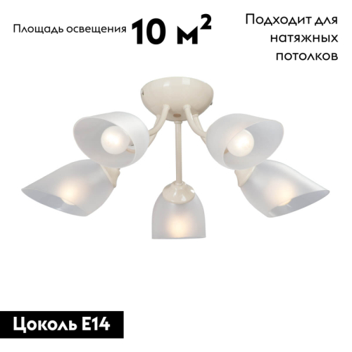 Потолочная люстра Vitaluce V3405/5PL изображение в интернет-магазине Cramer Light фото 2