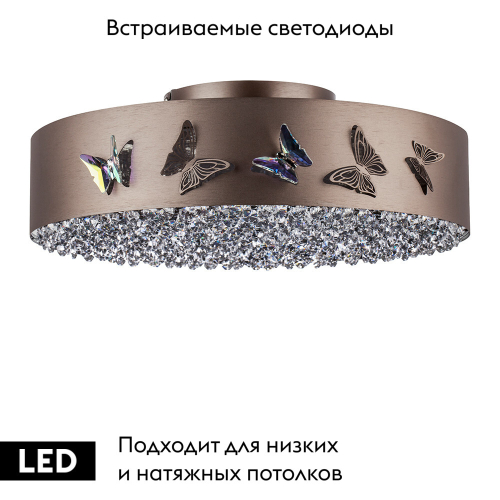 Потолочная люстра Lightstar Faraone 701021 изображение в интернет-магазине Cramer Light фото 2