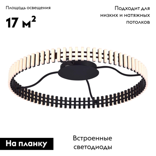 Потолочная люстра ST Luce Estense SL6203.402.50 изображение в интернет-магазине Cramer Light фото 2