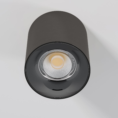 Накладной светильник Elektrostandard Primo 25116/LED 4690389212970 a069415 изображение в интернет-магазине Cramer Light фото 2
