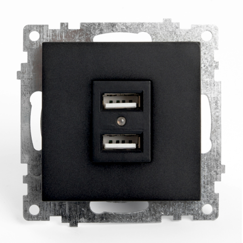 Розетка USB 2-местная Stekker Катрин 39616 дополнительное фото