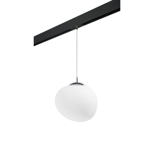 Трековый светильник Lightstar Arnia PRO805016 (805016+595007) изображение в интернет-магазине Cramer Light