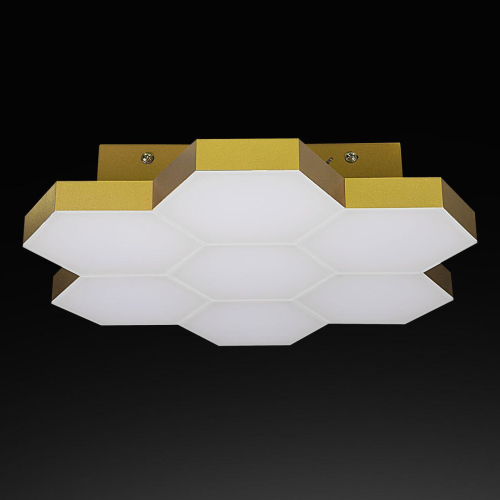 Потолочный светильник Lightstar Sote 750073 изображение в интернет-магазине Cramer Light фото 3