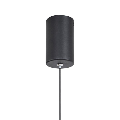 Подвесной светильник Lumion Ledio Stick 8400/3LB изображение в интернет-магазине Cramer Light фото 7