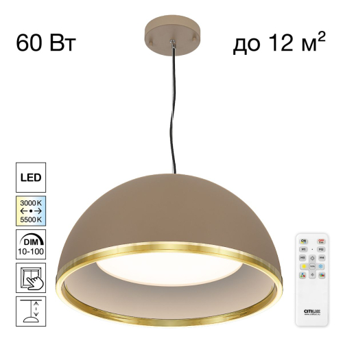 Подвесной светильник Citilux Floom CL736252 изображение в интернет-магазине Cramer Light