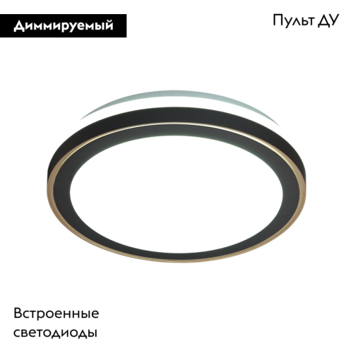 Настенно-потолочный светильник Sonex Akuna 7620/DL изображение в интернет-магазине Cramer Light фото 2