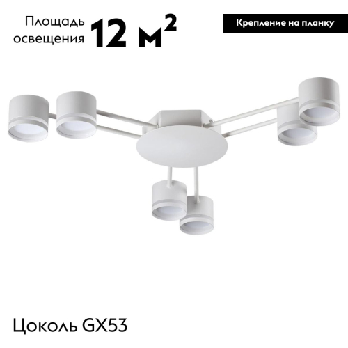 Потолочная люстра Lumion Gareta 8235/6C изображение в интернет-магазине Cramer Light фото 2