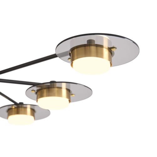 Потолочная люстра Freya Moon FR5513PL-06BBZ изображение в интернет-магазине Cramer Light фото 4