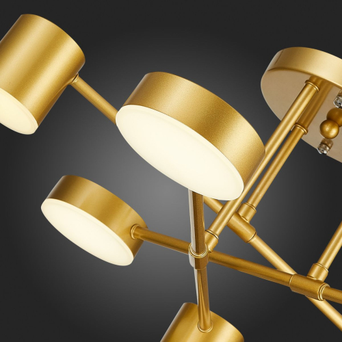 Потолочная люстра Evoluce Nobel SLE201022-06 изображение в интернет-магазине Cramer Light фото 5