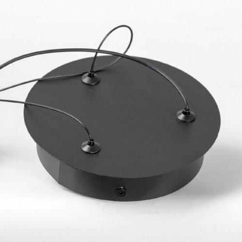 Подвесной светильник Lussole LSP-7362 изображение в интернет-магазине Cramer Light фото 5