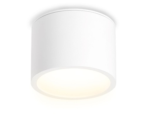 Накладной светильник Ambrella Light IP Protect TN6550 изображение в интернет-магазине Cramer Light