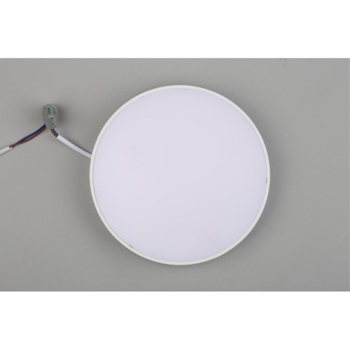 Потолочный светильник Aployt Evon APL.0113.09.24 изображение в интернет-магазине Cramer Light фото 7