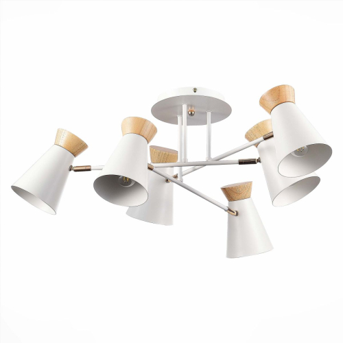 Потолочная люстра Evoluce Alfeo SLE1252-502-06 изображение в интернет-магазине Cramer Light фото 3