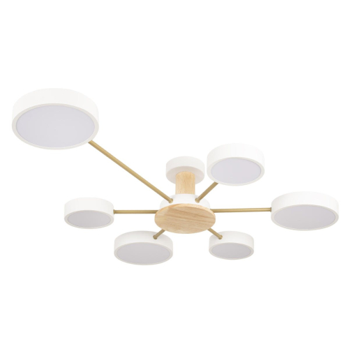 Потолочная люстра Loft IT Sunrise 10316/6 White изображение в интернет-магазине Cramer Light