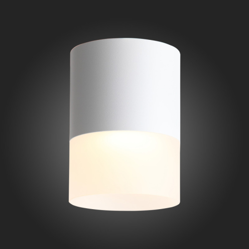 Накладной светильник ST Luce ST100.502.15 изображение в интернет-магазине Cramer Light фото 3