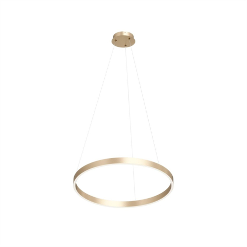 Подвесной светильник Denkirs Raydia DK6273-SG изображение в интернет-магазине Cramer Light фото 5