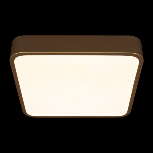 Потолочный светильник Loft IT Flims 10228/C изображение в интернет-магазине Cramer Light фото 6