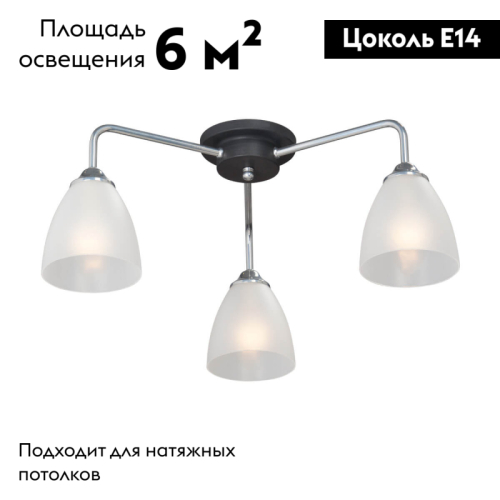 Потолочная люстра Vitaluce V4500-9/3PL изображение в интернет-магазине Cramer Light фото 2