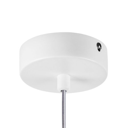 Подвесной светильник Lightstar Rocco 793116 изображение в интернет-магазине Cramer Light фото 2