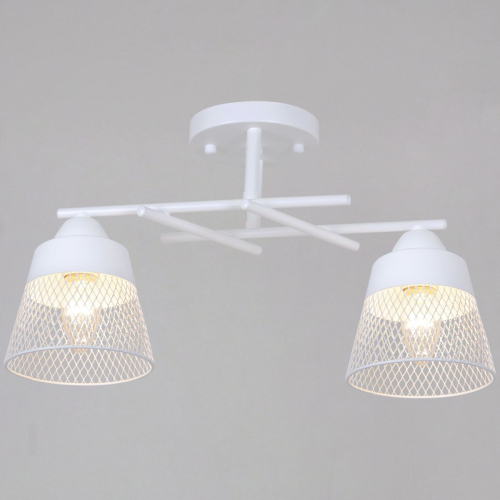 Потолочный светильник Reluce 61660-0.3-02 WH изображение в интернет-магазине Cramer Light