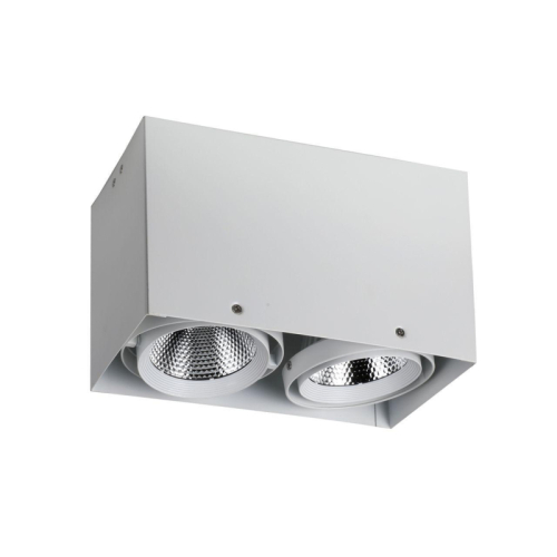 Потолочный светодиодный светильник Favourite Flashled 1986-2U изображение в интернет-магазине Cramer Light