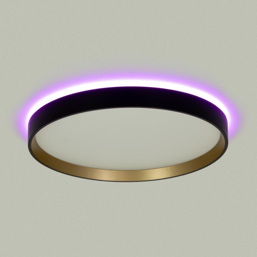 Потолочный светильник Citilux Etalon CL750321R изображение в интернет-магазине Cramer Light фото 5