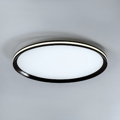 Потолочный светильник LED4U L3020-500 BK изображение в интернет-магазине Cramer Light фото 4