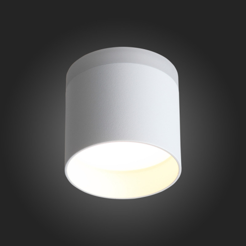 Накладной светильник ST Luce ST102.502.12 изображение в интернет-магазине Cramer Light фото 3
