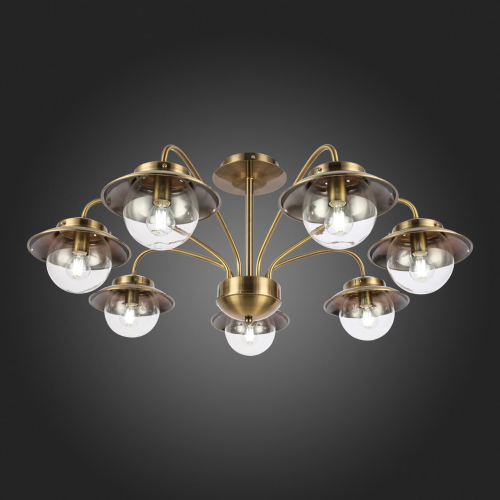 Потолочный светильник EVOLUCE GARONNI SLE110102-07 изображение в интернет-магазине Cramer Light фото 4