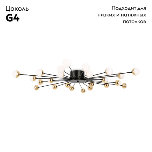 Потолочная люстра Freya Celebrity FR5242CL-24B изображение в интернет-магазине Cramer Light фото 2